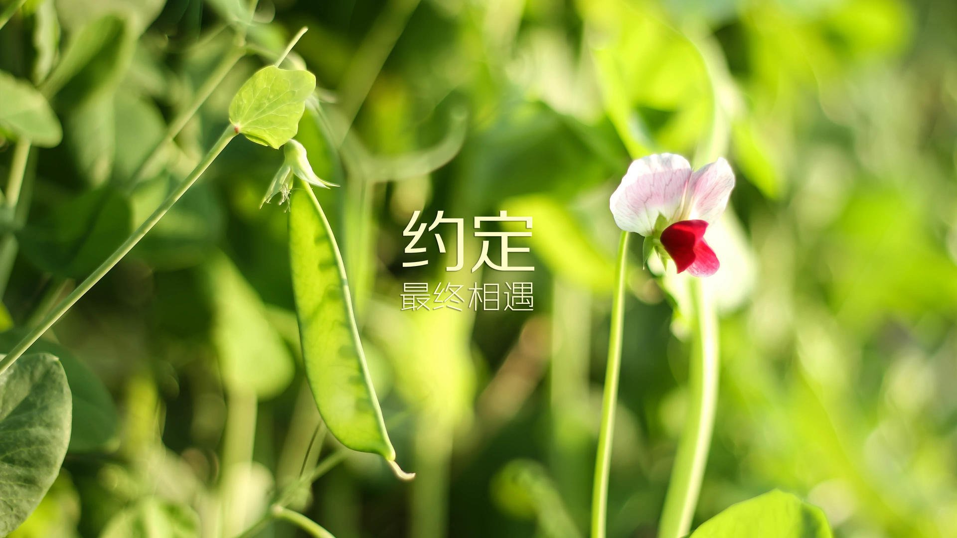 kaiyun登录入口-2023年中国健身行业数据报告发布，普拉提市场持续增长，2020健身行业数据