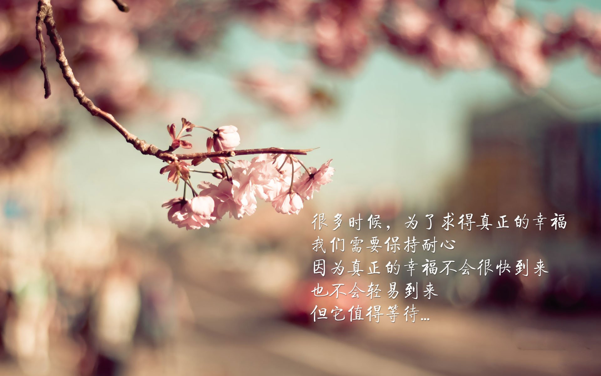kaiyun体育综合-_老将带领奇才，不屈不挠迎接挑战_，老将上场后面一句话是什么