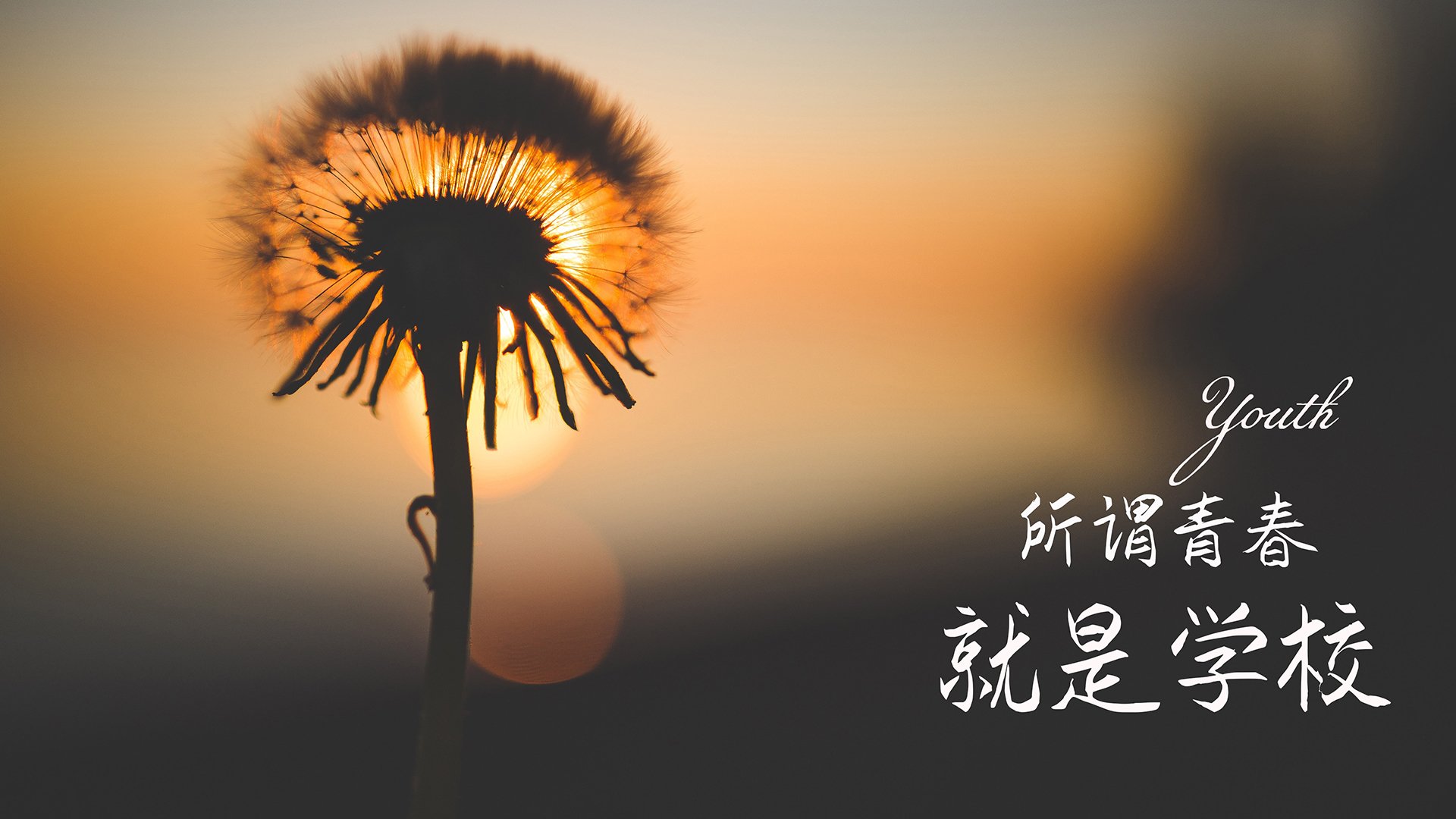 “荒漠之王：金色沙丘上的生死追逐”，沙漠金色是什么颜色