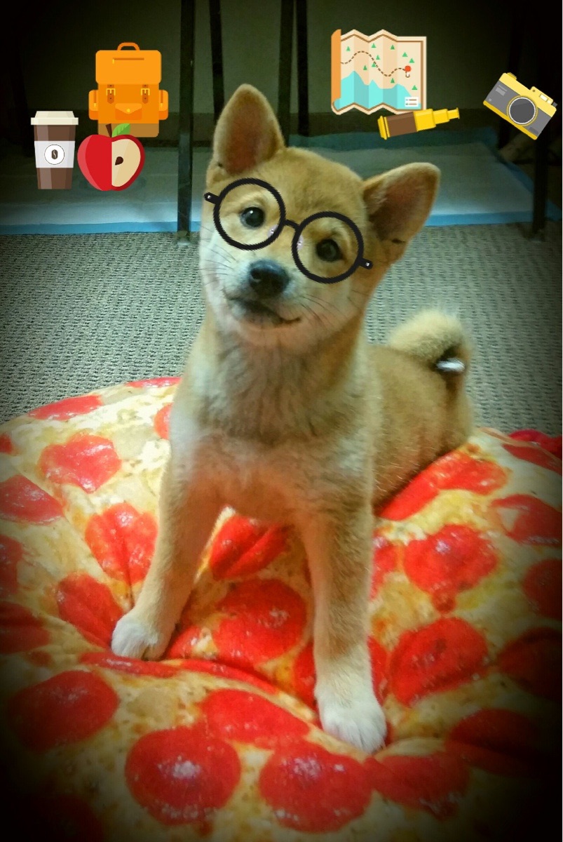 兰斯主帅执教后首胜，球队信心增强，兰斯原名