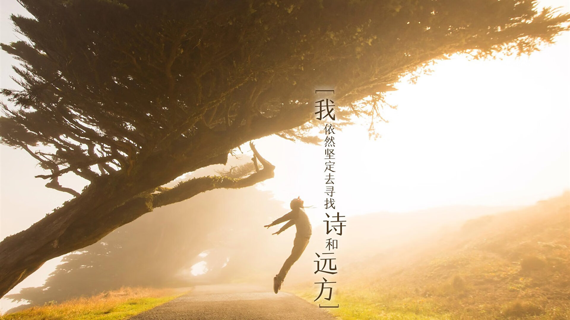 竞技场内外，乔治发威主导快船逆转，太阳夜败，乔治快船最新进展