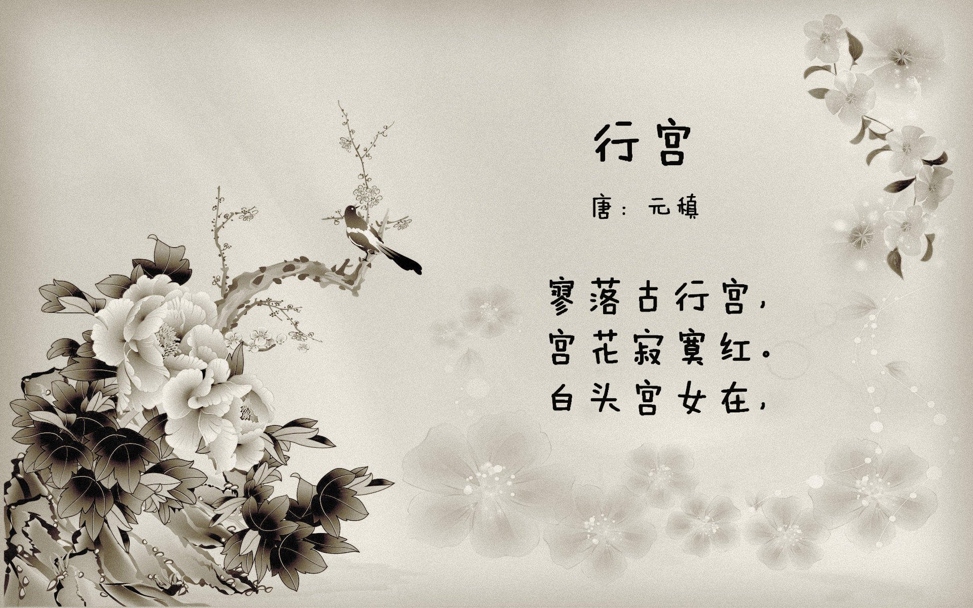 巴西马术协会引入智能马鞍系统，实现实时数据监测与分析，提升骑乘体验。