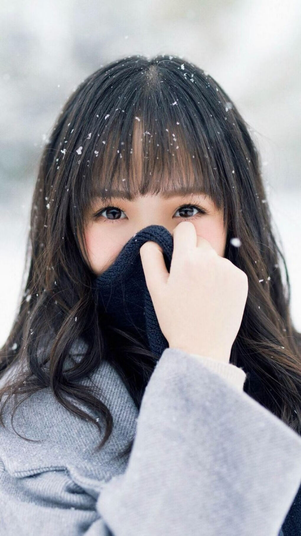 巴西马术协会引入智能马鞍系统，实现实时数据监测与分析，提升骑乘体验。