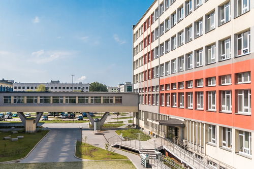 开云平台-中国篮球青训教练员专业能力提升及培训体系建设，篮球青训师资格证好考么