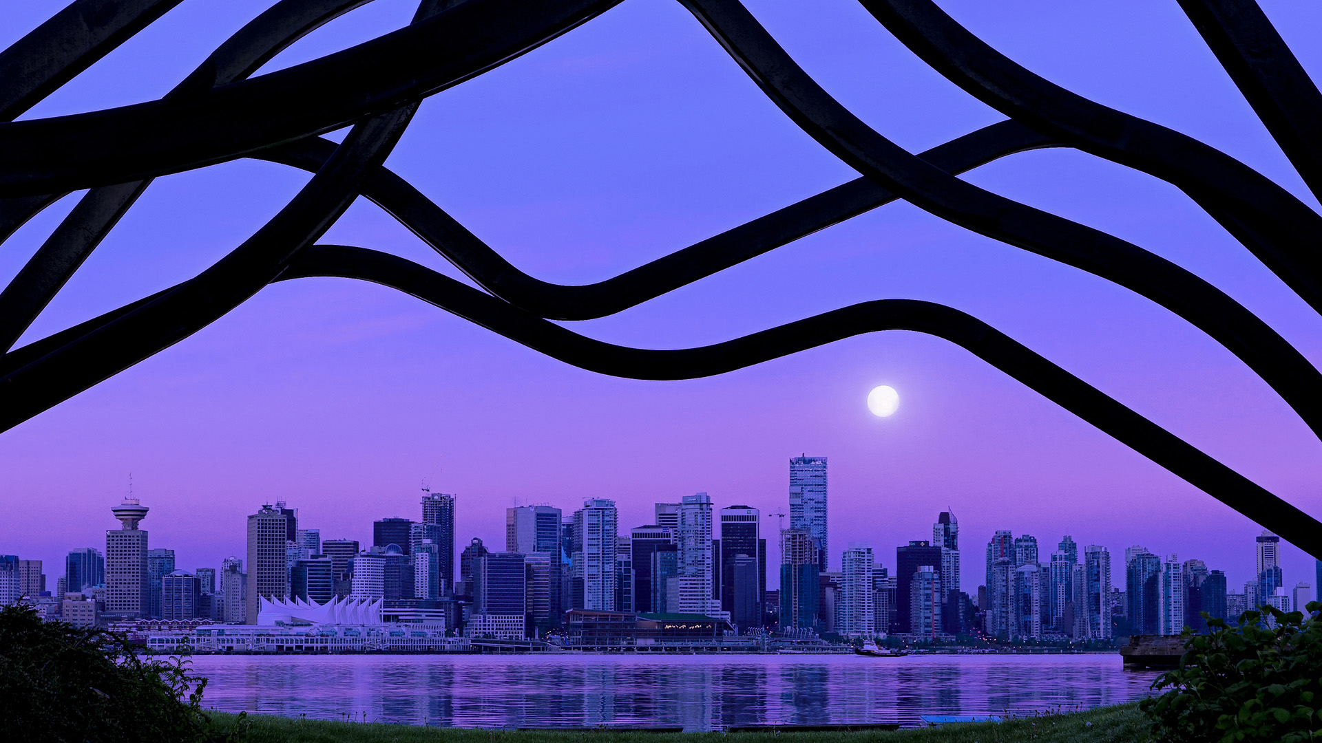 乔纳·隆戈：从世界杯舞台到全球橄榄球的巨星，乔纳坦 个人资料生日