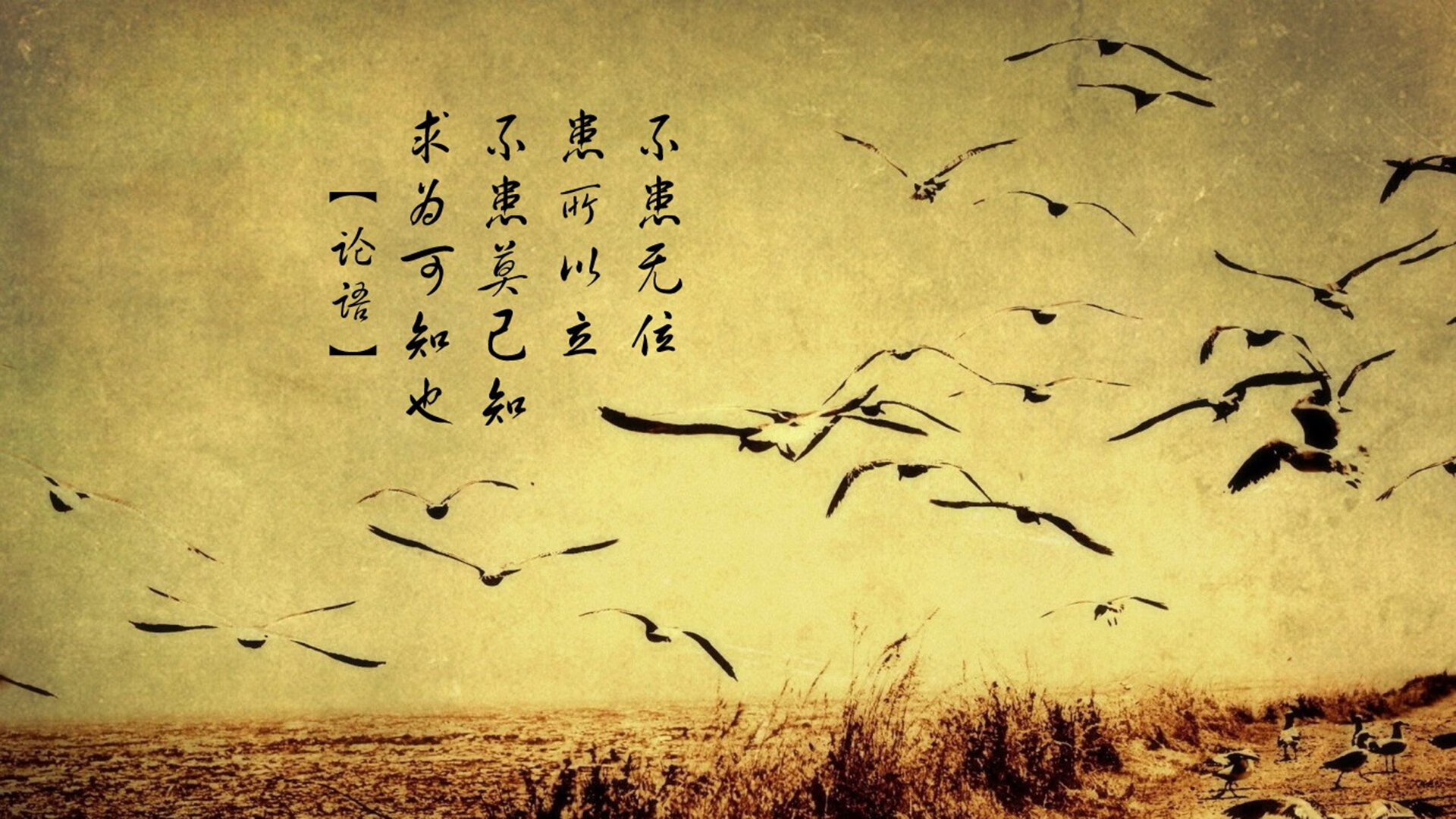 开云体育APP下载-凯尔特人组织视频复盘剖析失误环节，凯尔特人celtics