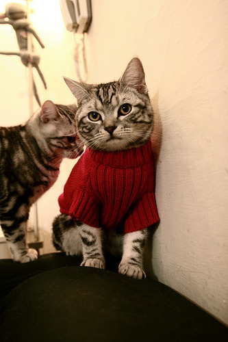 开云官方-国家篮球训练基地扩建计划启动打造亚洲一流专业设施，国家篮球训练基地在哪