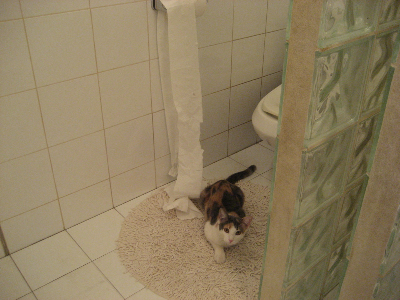 开云中国大陆-女子足球世界杯备战紧张，女子足球世界杯预选赛