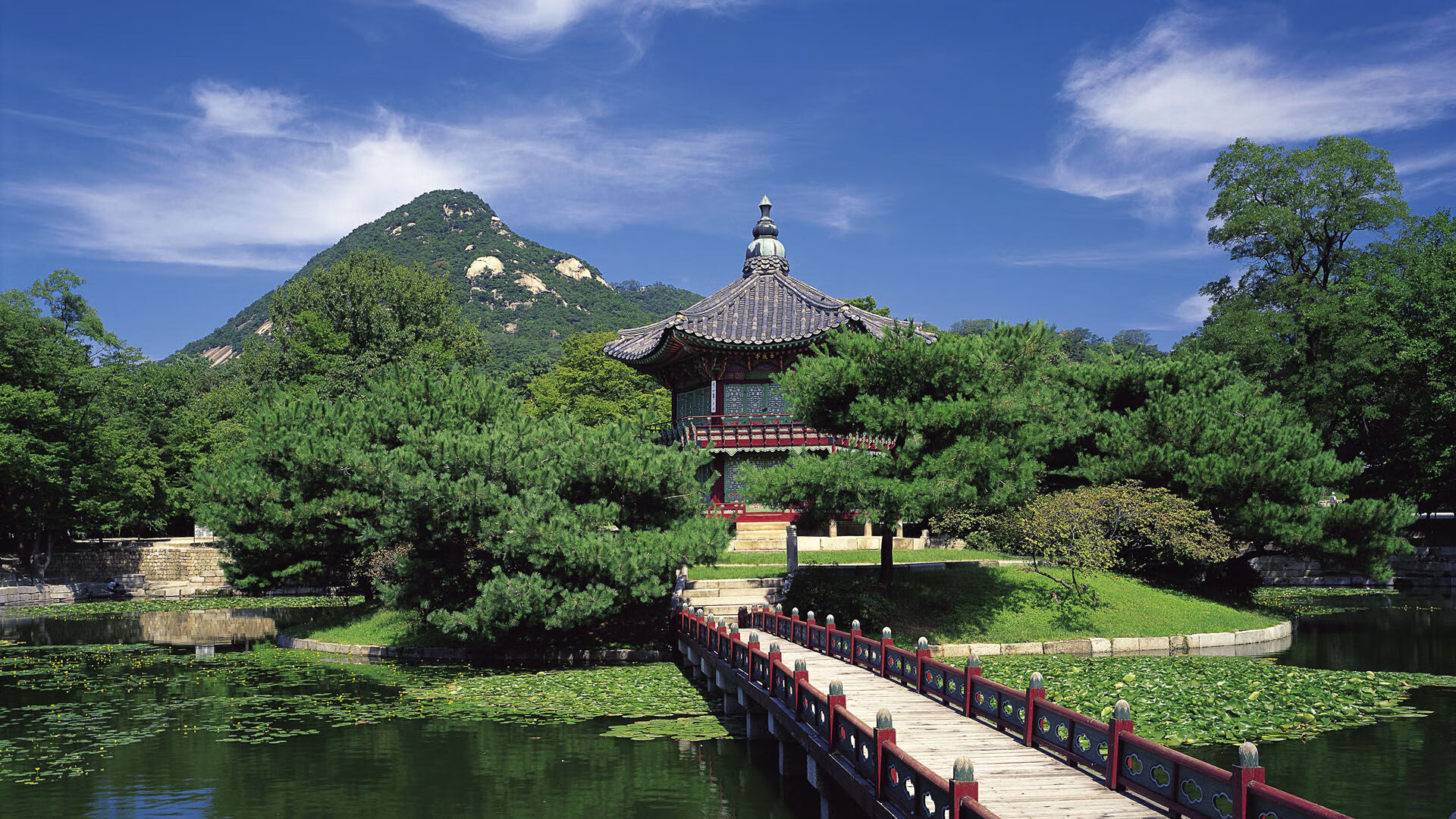 女子足球世界杯备战紧张，女子足球世界杯预选赛