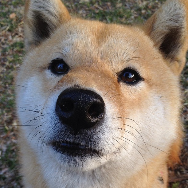 西甲攻防激烈:精彩瞬间不断升级!,西甲身体对抗