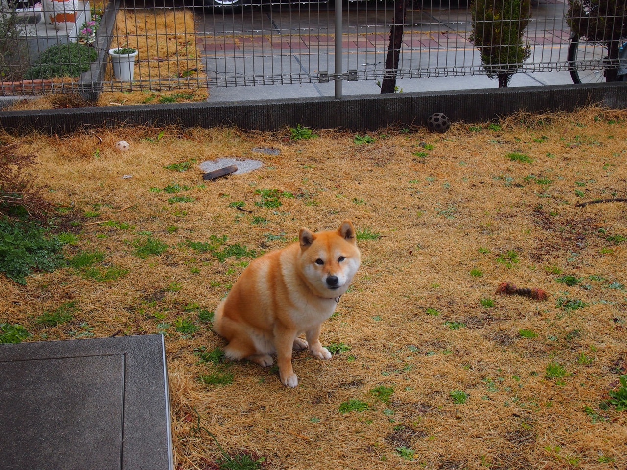 开云·Kaiyun网页版-里奇·麦考的顶尖盯防技巧，是全黑队防线的核心，nba麦考利